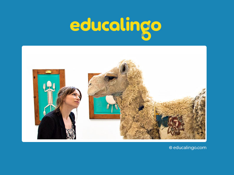 educalingo.com