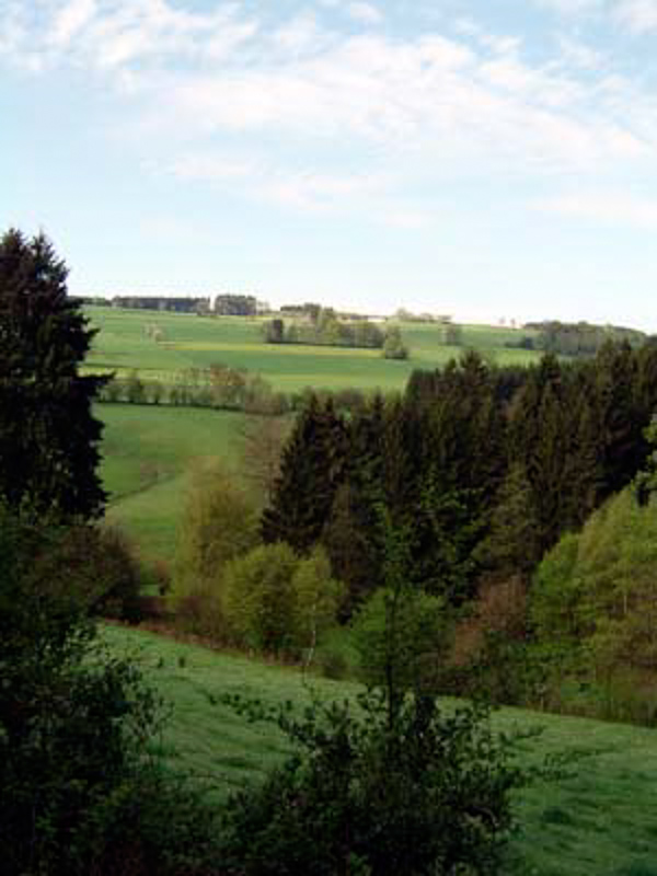 Ardenner Wald