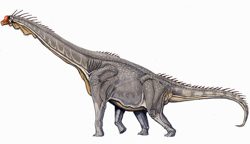 Brachiosaurier