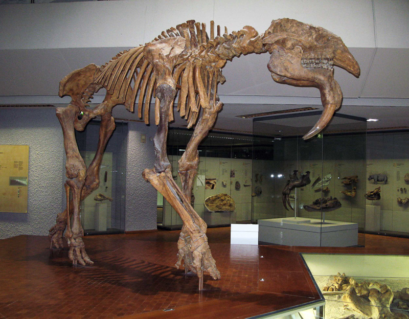 Dinotherium