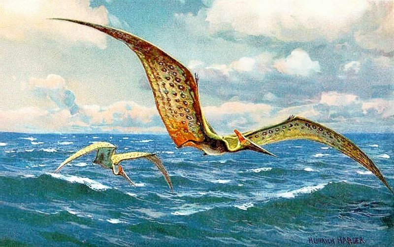 Pterosaurier