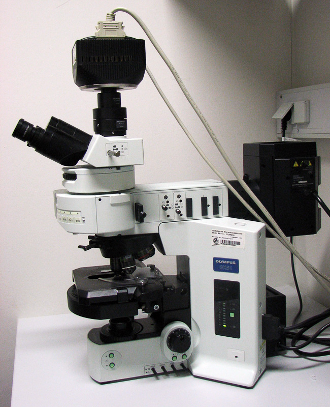 Fluoreszenzmikroskop