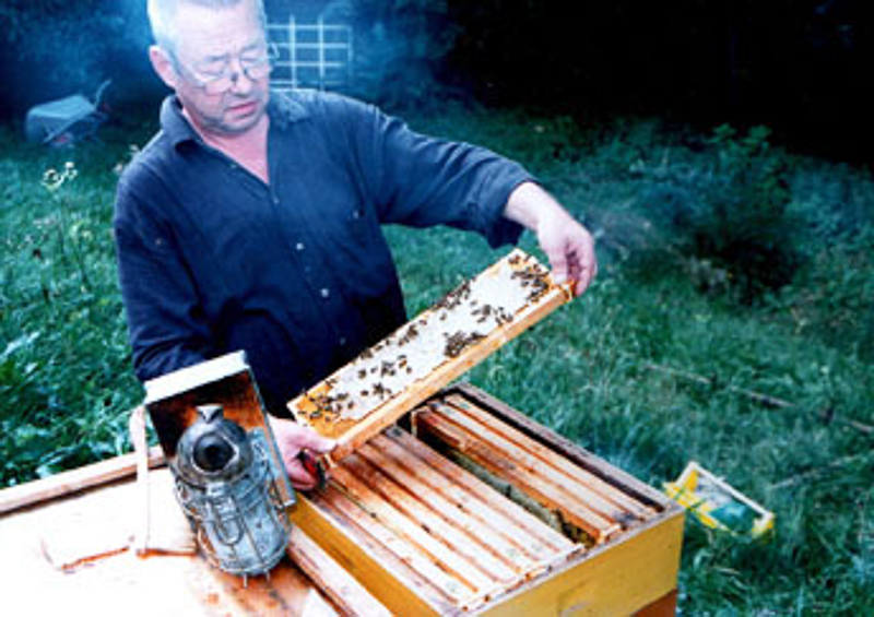 Bienenzüchter