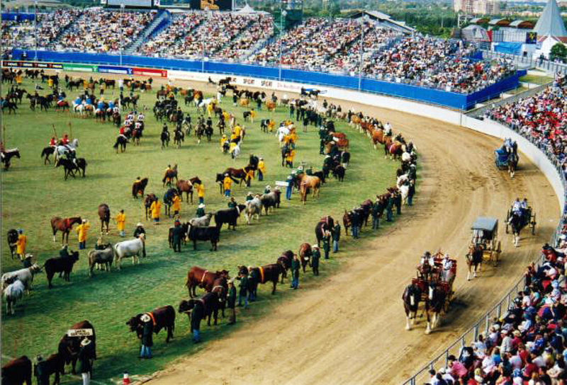 agricultural show