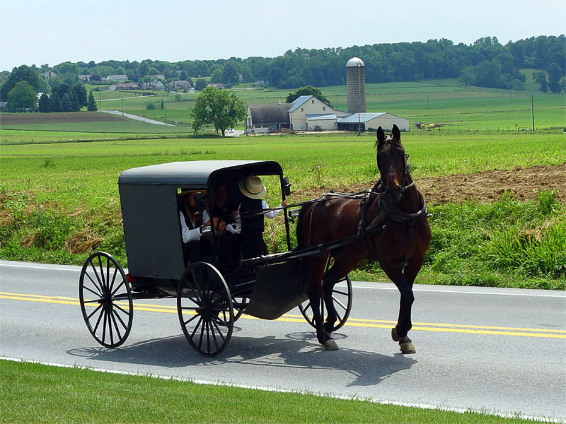 AMISH - Definition and synonyms of Amish in the English dictionary