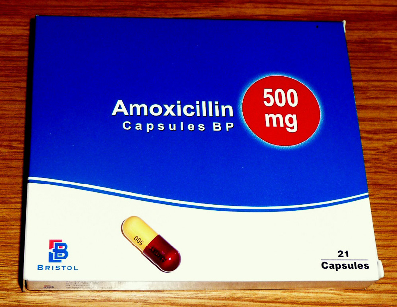 amoxycillin