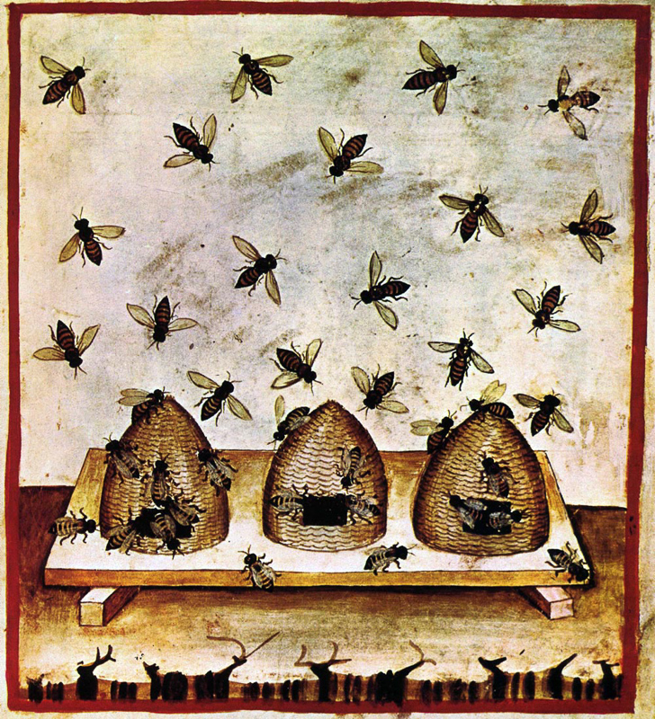 BEEKEEPING - Definição e sinônimos de beekeeping no dicionário inglês