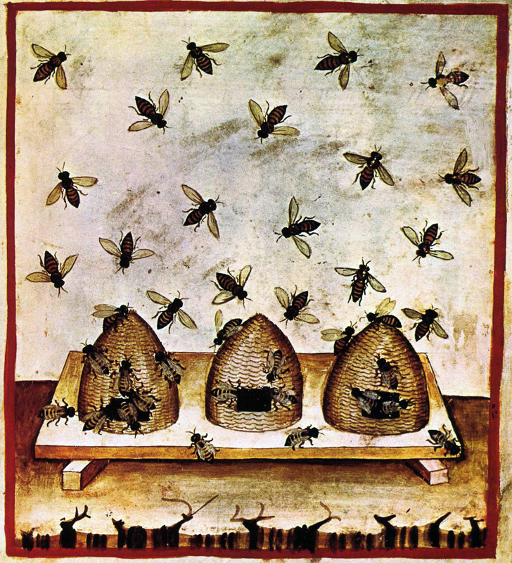 beekeeping