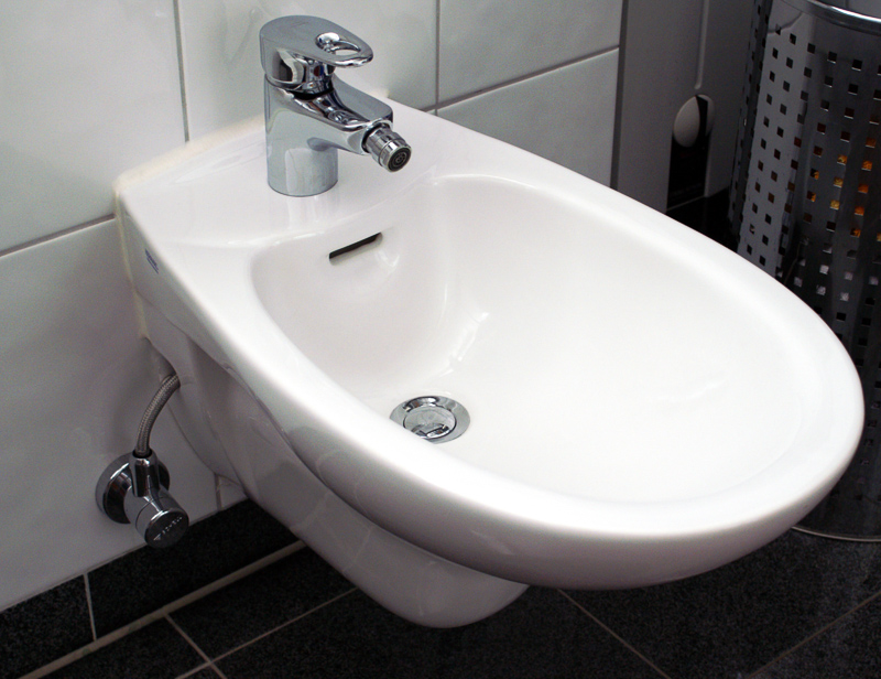 Bidet Definition And Synonyms Of Bidet In The English Dictionary