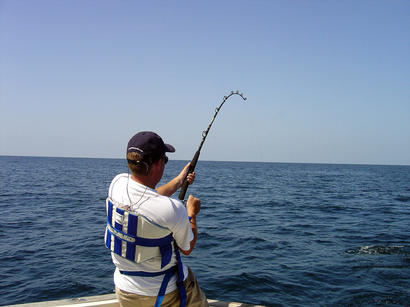 FISHING ROD - Definición y sinónimos de fishing rod en el diccionario inglés