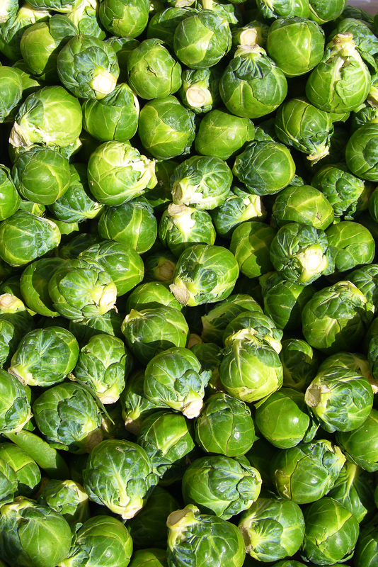 SPROUTING BROCCOLI  Significado, definição em Dicionário