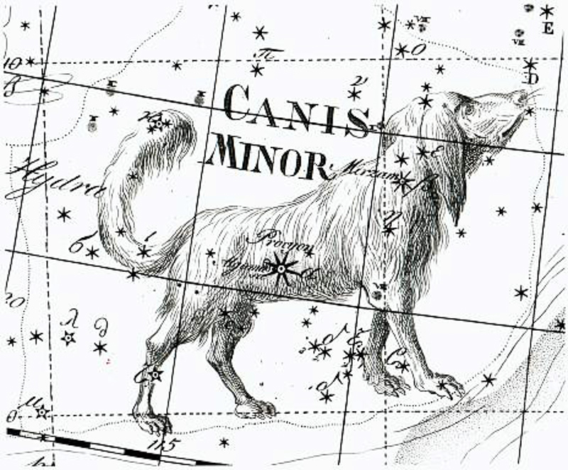 Canis Minoris