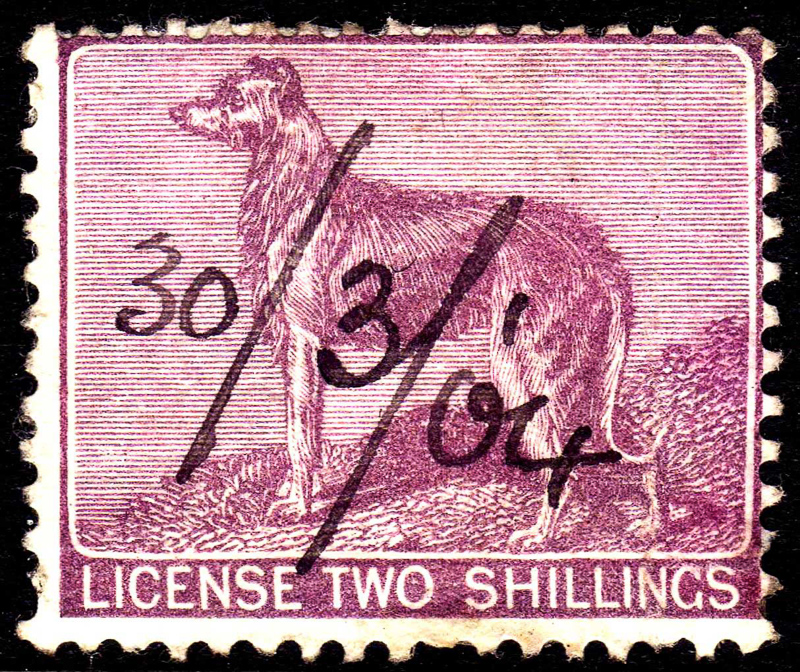 dog licence
