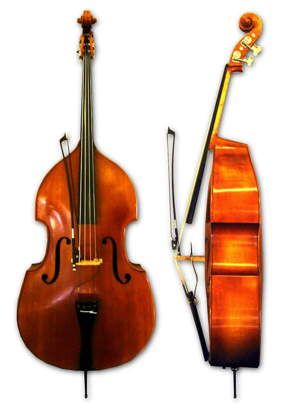 bass fiddle