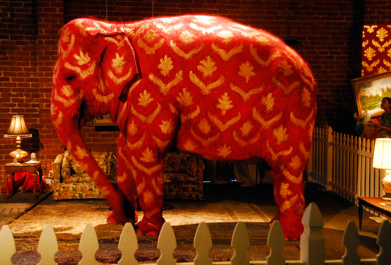 ELEPHANT IN THE ROOM - Definition and synonyms of elephant in the room in  the English dictionary
