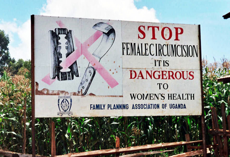female circumcision