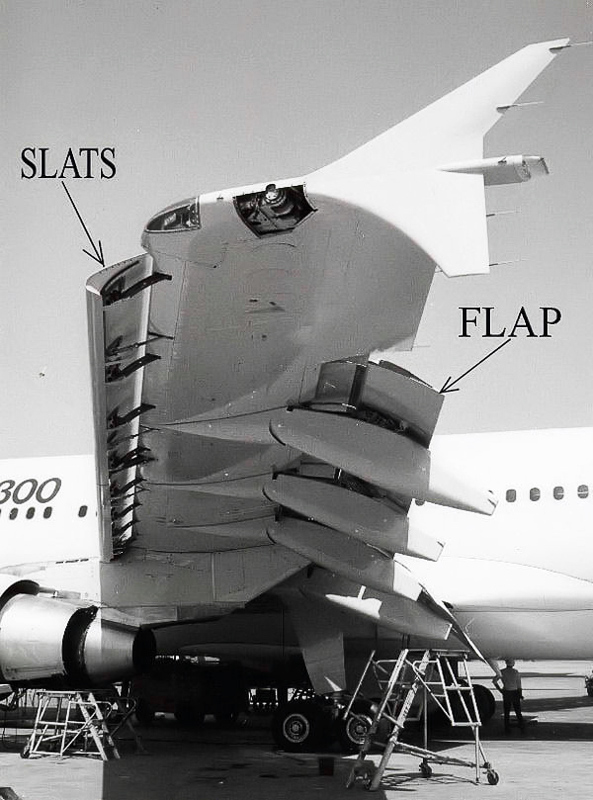 wing flap