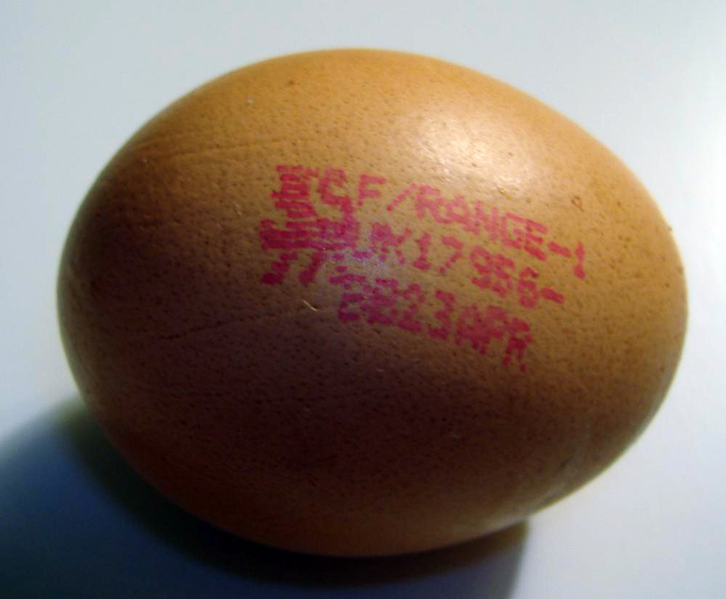 free-range egg