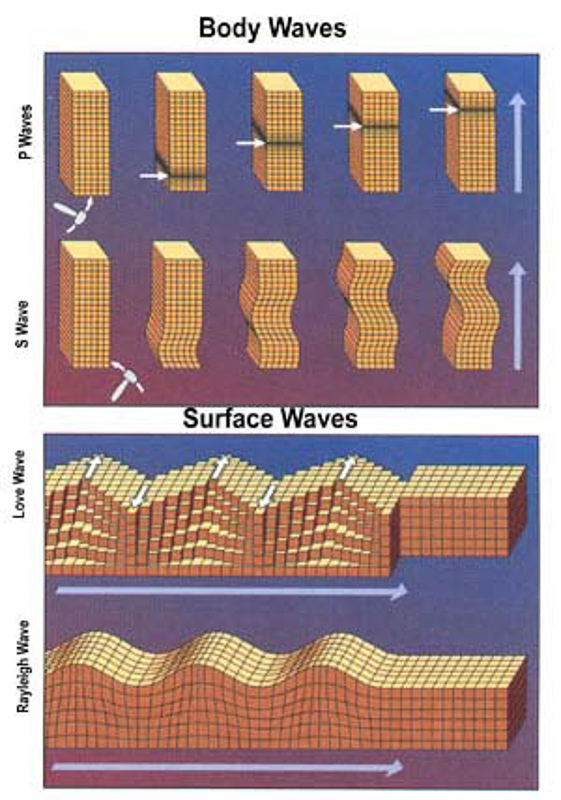 seismic wave