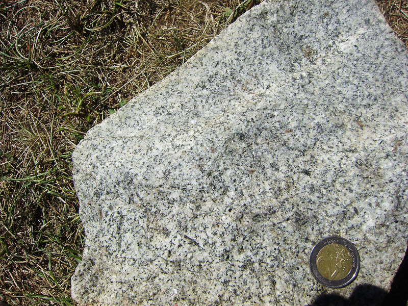 granodiorite