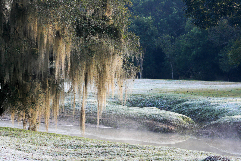ground frost