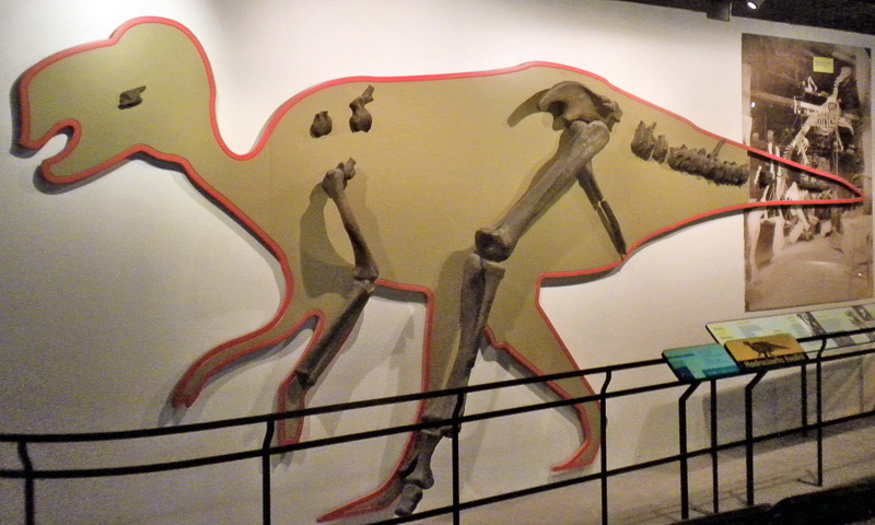 hadrosaurus