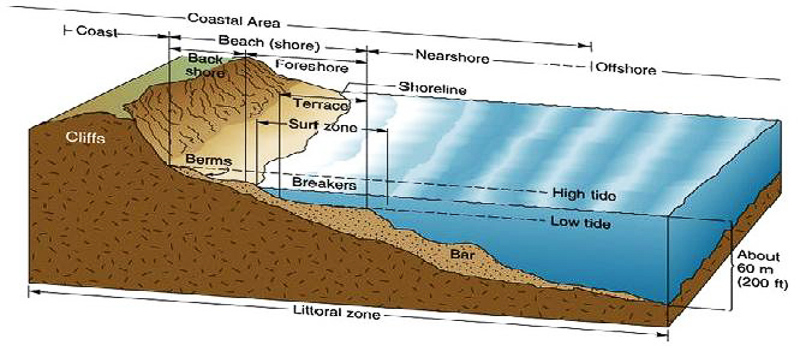 subtidal