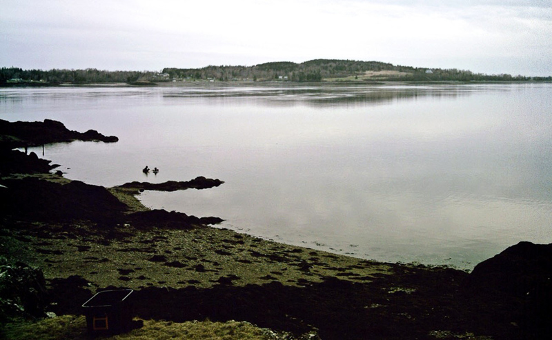 Passamaquoddy Bay