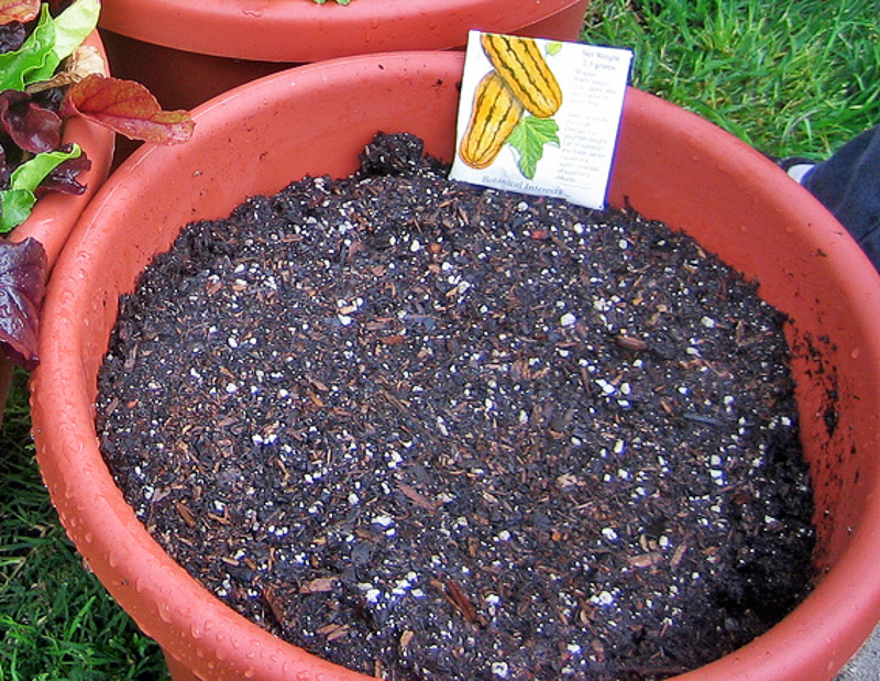 potting compost