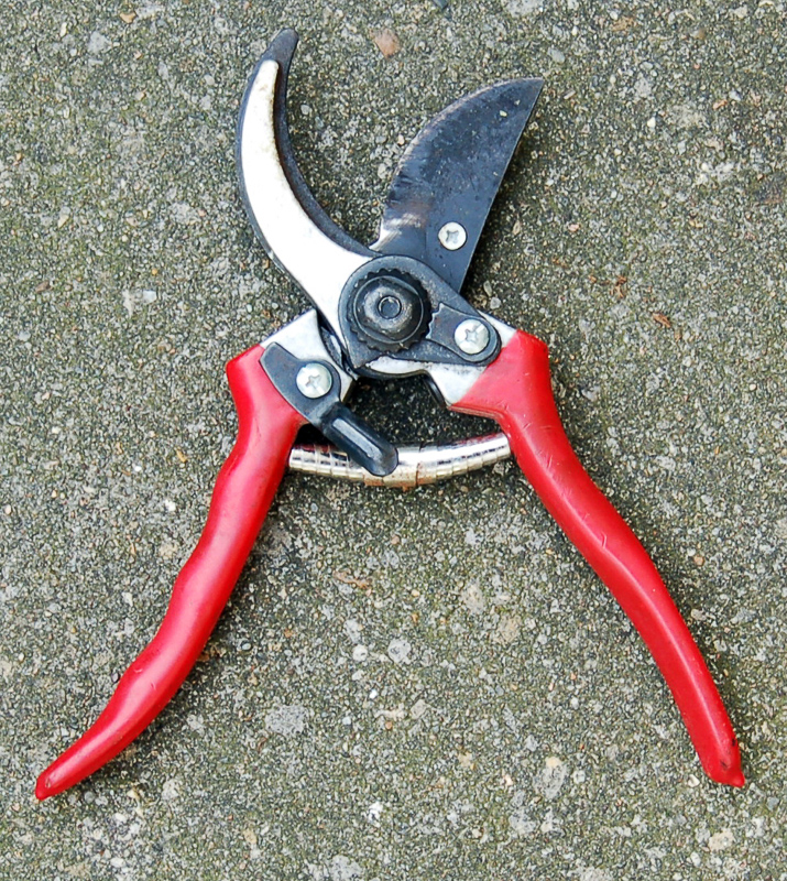 pliers meaning in english
