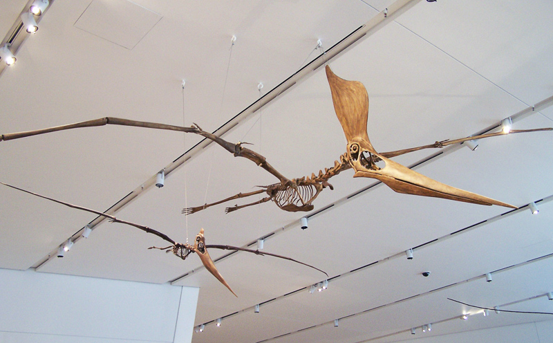ornithosaur