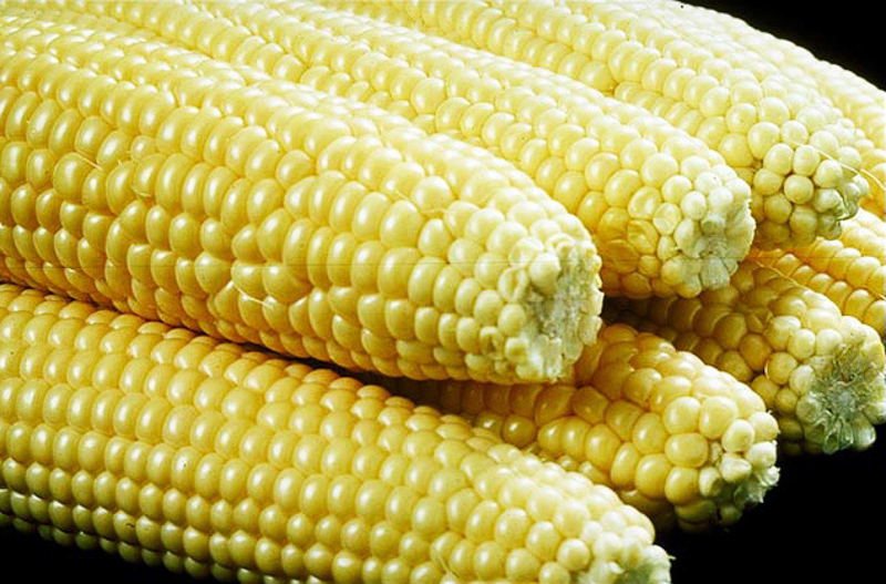 Sweet Corn 英語辞典でのsweet Cornの定義と同義語