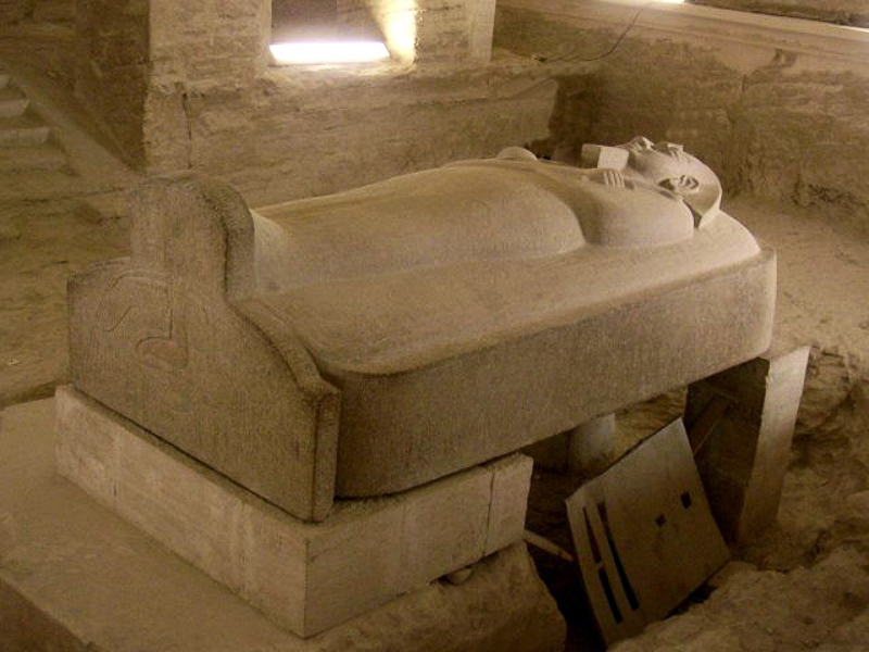 sarcophagal