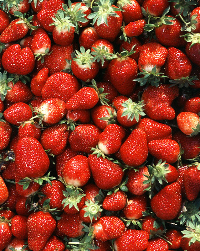 garden strawberry