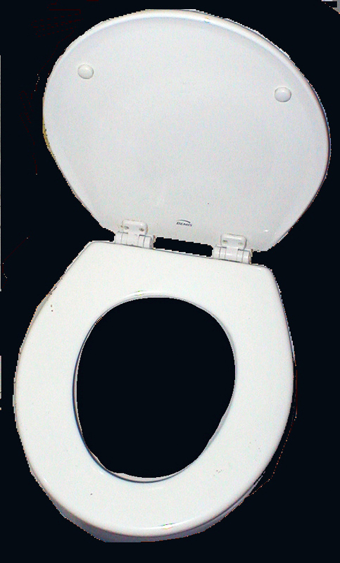 Lavatory Seat Definition And Synonyms Of In The English Dictionary - Bathroom Synonyms Loo