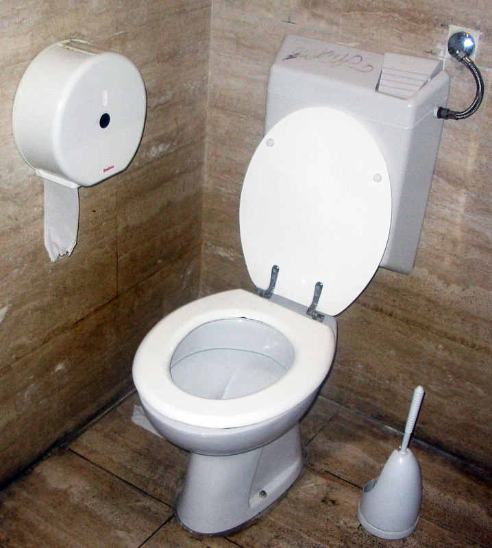 Toilet Definition And Synonyms Of In The English Dictionary - Bathroom Synonyms Loo