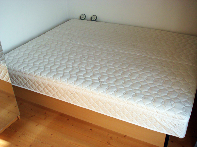 Water Bed Definition And Synonyms Of, Can You Put A Regular Mattress In Water Bed Frame
