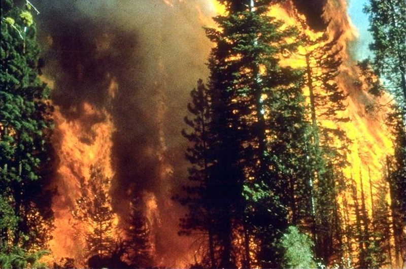 Brush Fire Definition And Synonyms Of Brush Fire In The English Dictionary