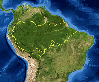 amazónico