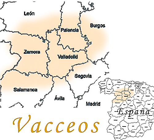 vacceo