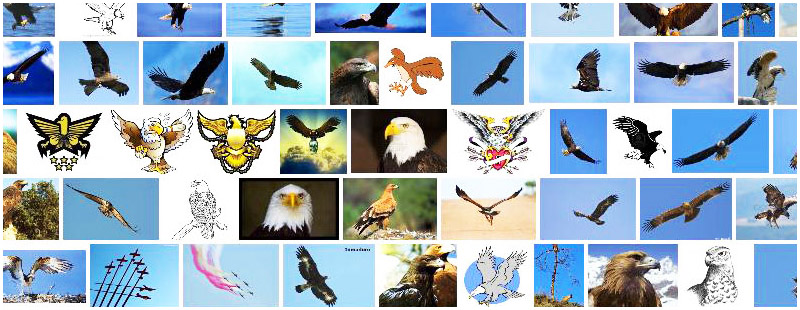 ÁGUILA - Definición y sinónimos de águila en el diccionario español