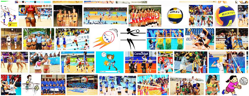 Voley Definition Und Synonyme Von Voley Im Worterbuch Spanisch