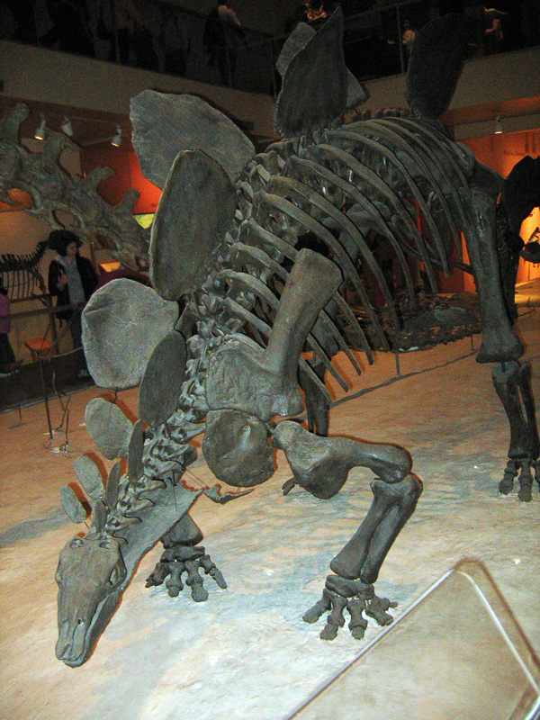 stégosaurien