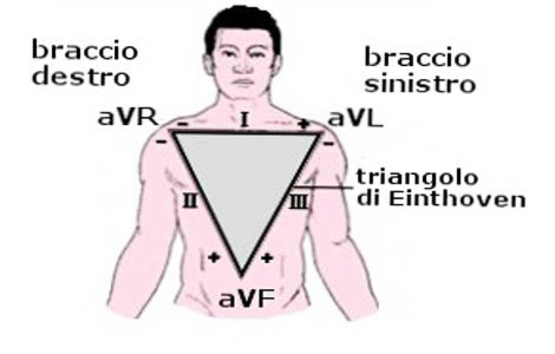 elettrocardiografia