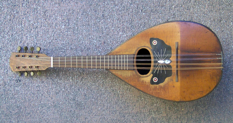 mandolinista