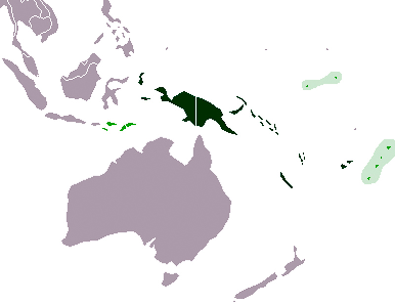 メラネシア