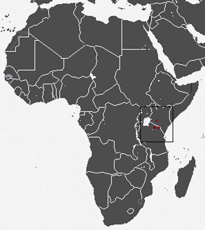 동아프리카고지땃쥐