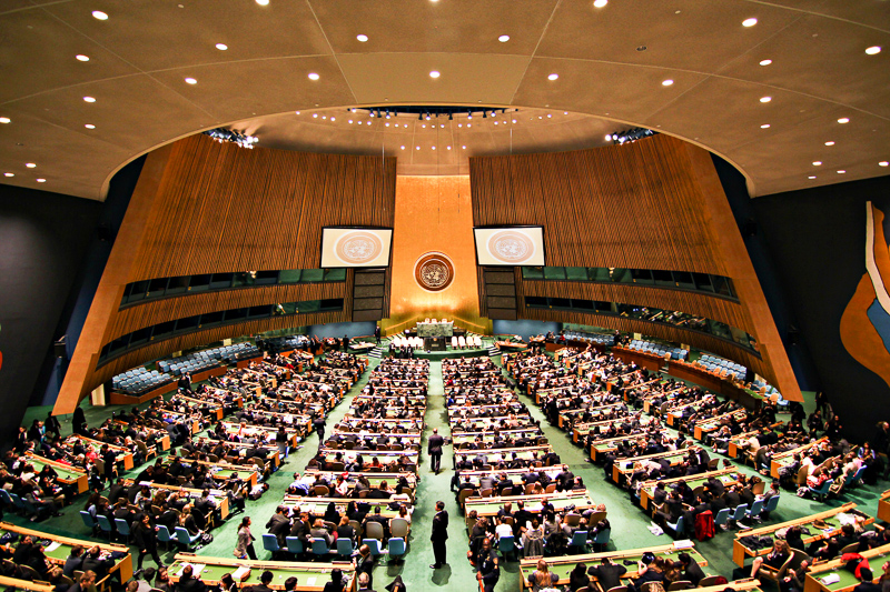 국제연합총회