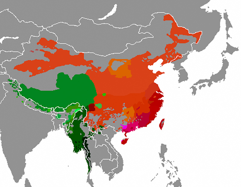 중국티베트어족
