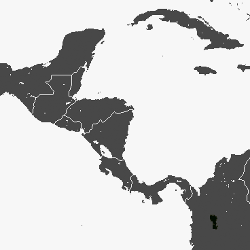 콜롬비아작은귀땃쥐